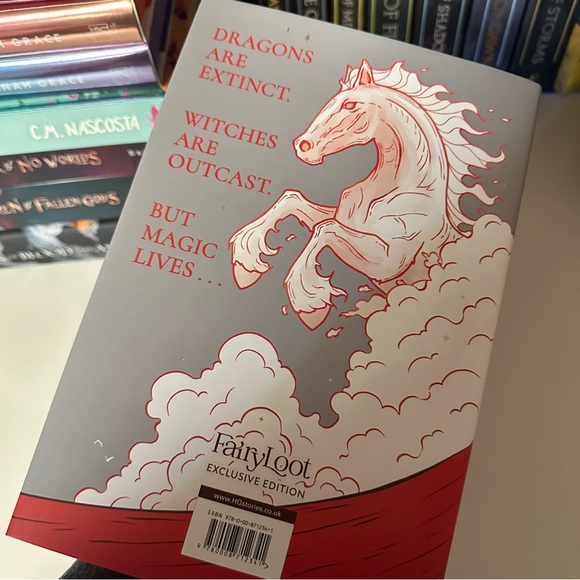 A Fire in the Sky Fairyloot Edition Signed by the Author Sprayed Edges - Picture 5 of 9